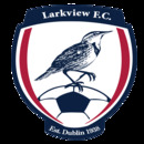 Larkview FC (Senior Section)