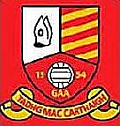 Tadhg MacCarthaigh Caheragh GAA Logo