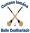 Carlow Town Hurling & Camogie Club