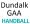 Dundalk Handball Club