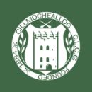 Kilmallock GAA Club
