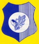 Portumna GAA Club logo