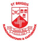 St Brigids GAA